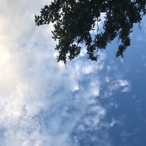 Meet your Posher, Hailey